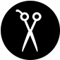 Program Icon